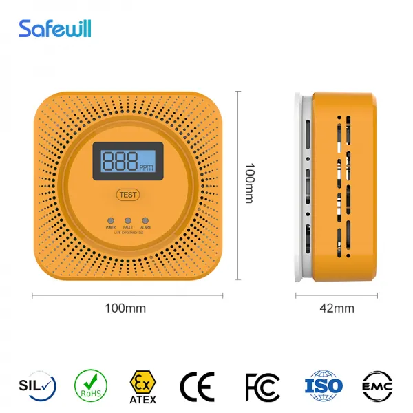 CO Carbon Monoxide Detector