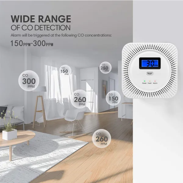 CO Carbon Monoxide Detector